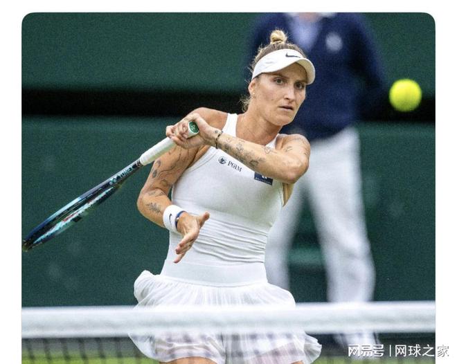 在今夏的N 在今夏的N